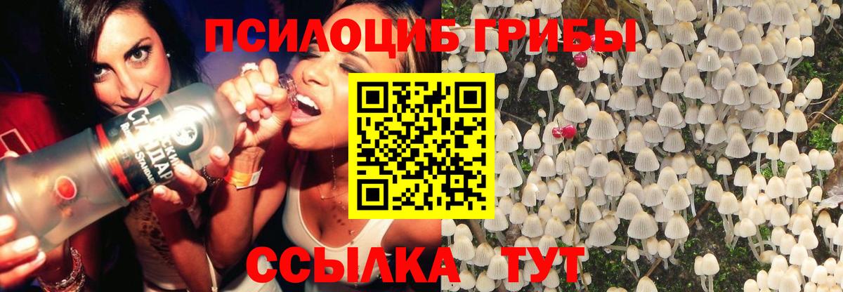Галлюциногенные грибы Magic Shrooms  Вход с VPN  Псилоцибиновые грибы Psilocybe  Назрань 